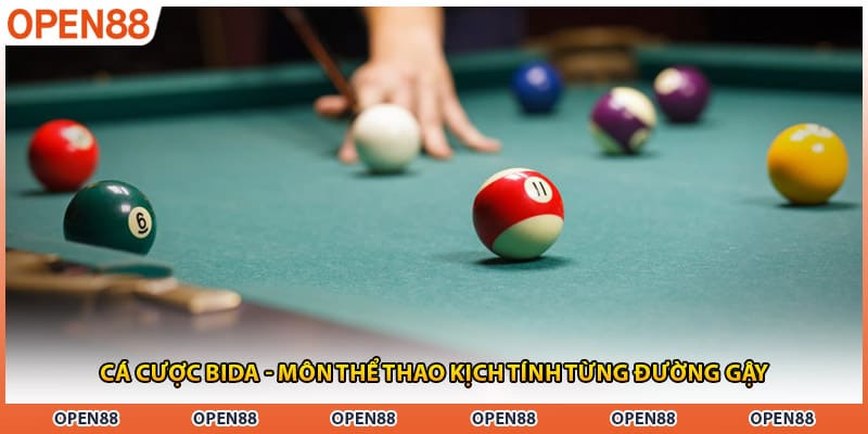 Cá Cược Bida - Môn Thể Thao Kịch Tính Từng Đường Gậy